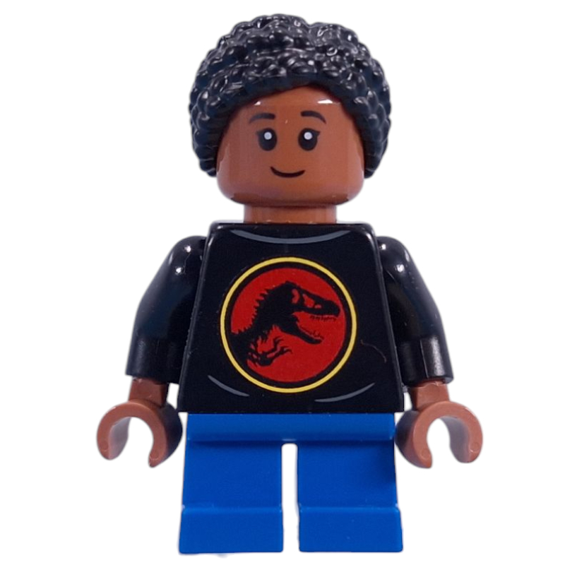 Dinosaur Fossils: Triceratops Skull